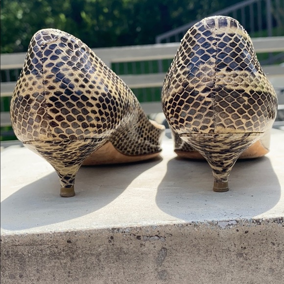 Jimmy Choo snakeskin, pointy toe, kitten heel pump - Picture 4 of 6